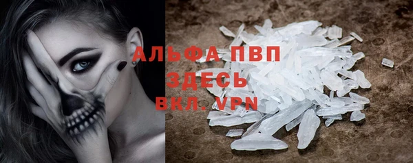 СК Верея